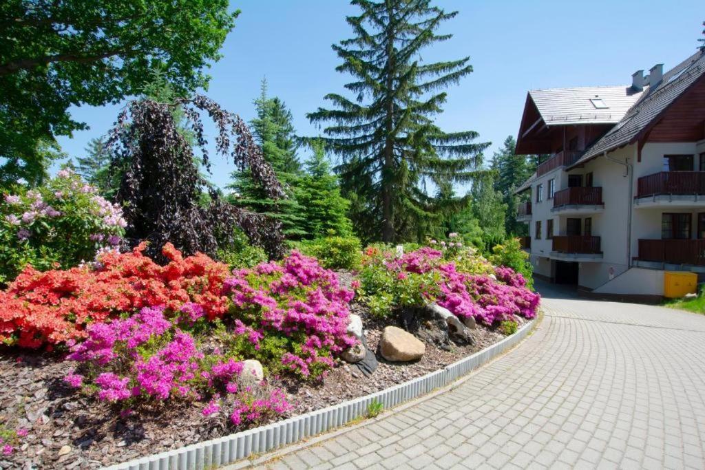 Apartament Polana-Karpacz Luaran gambar